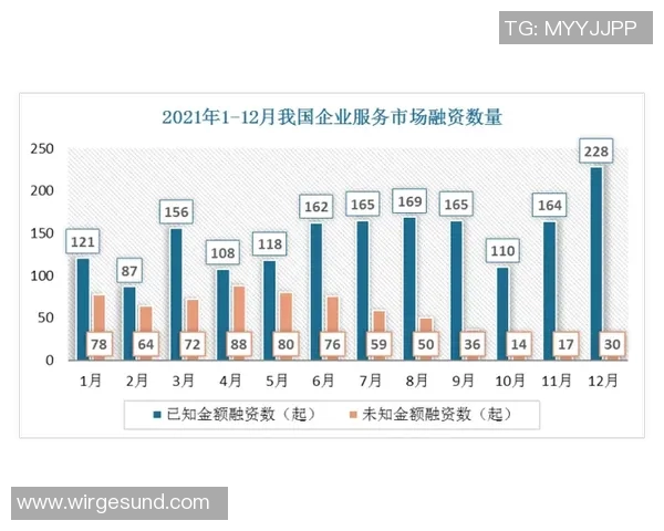 上海羽毛球队实力分析与发展前景的深度探讨与展望