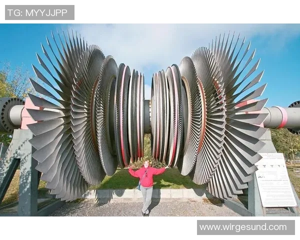 广州排球队整体压制革新之路探秘与未来展望 广州排球队整体压制革新之路探秘与未来展望