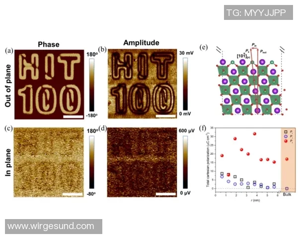 深圳乒乓球队近期表现分析与未来发展方向探讨