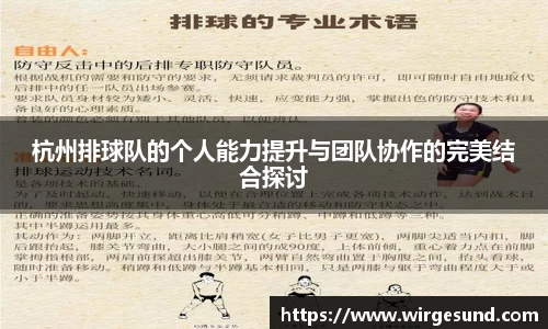 杭州排球队的个人能力提升与团队协作的完美结合探讨