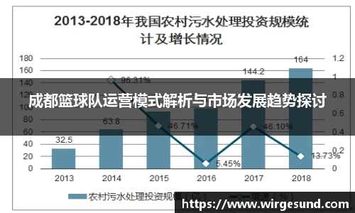 成都篮球队运营模式解析与市场发展趋势探讨