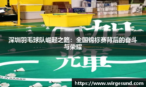 深圳羽毛球队崛起之路：全国锦标赛背后的奋斗与荣耀